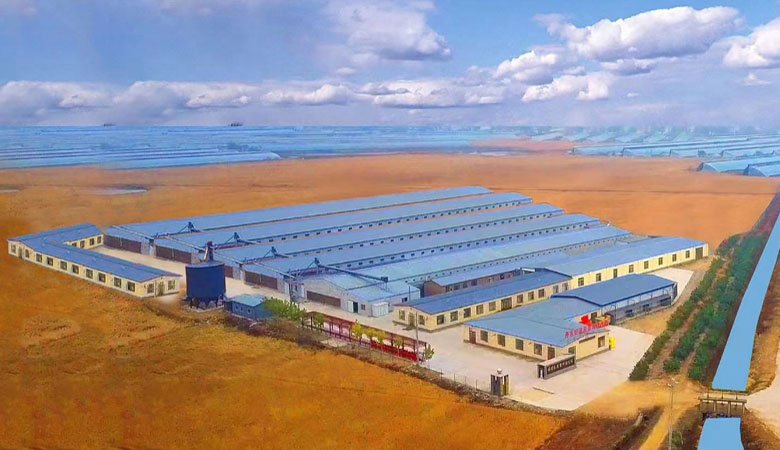 好星来蛋鸡养殖基地全景航拍