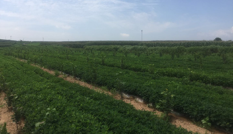 好星来农业生态园