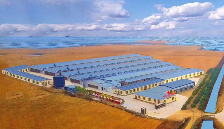 好星来蛋鸡养殖基地全景航拍