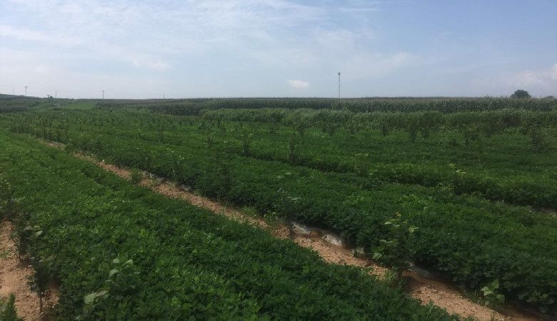 好星来农业生态园